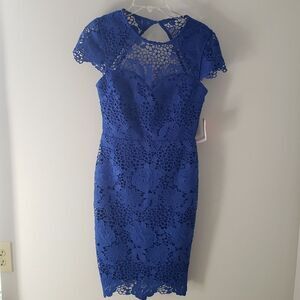 NWT Paper Dolls London Dress sz 6 Royal Blue Lace Overlay Sheath Mini